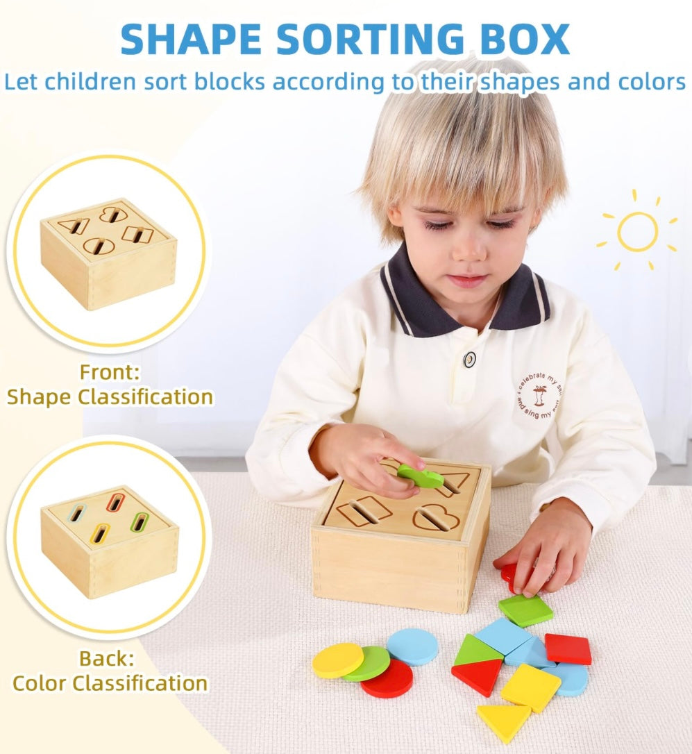 Montessori Play Kit for 22, 23, 24 Months Old