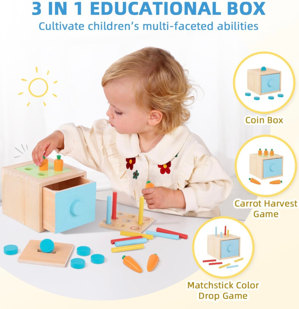Montessori Play Kit for 16 to 18 Months Old