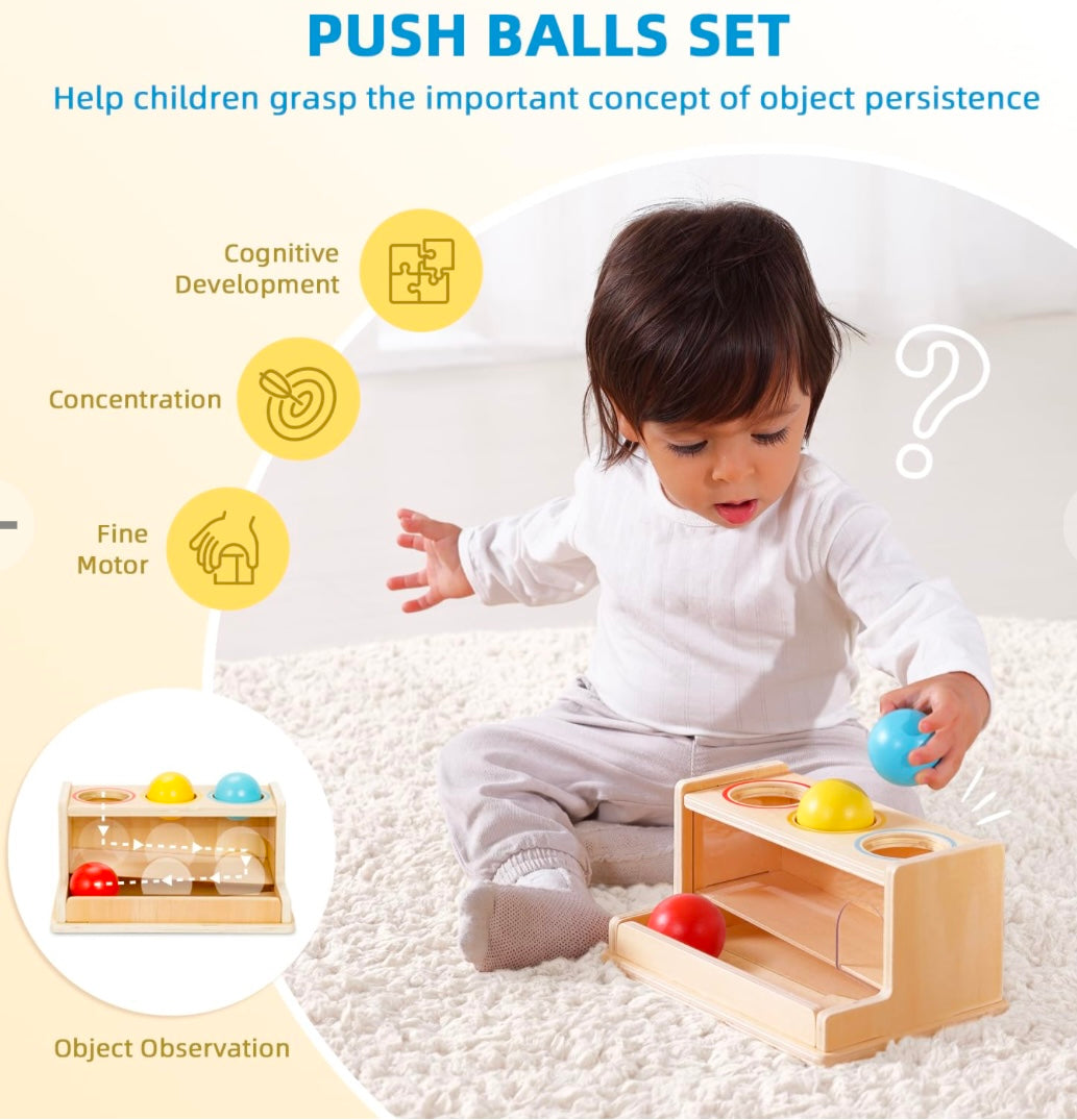 Montessori Play Kit for 11 to 12 Months Old