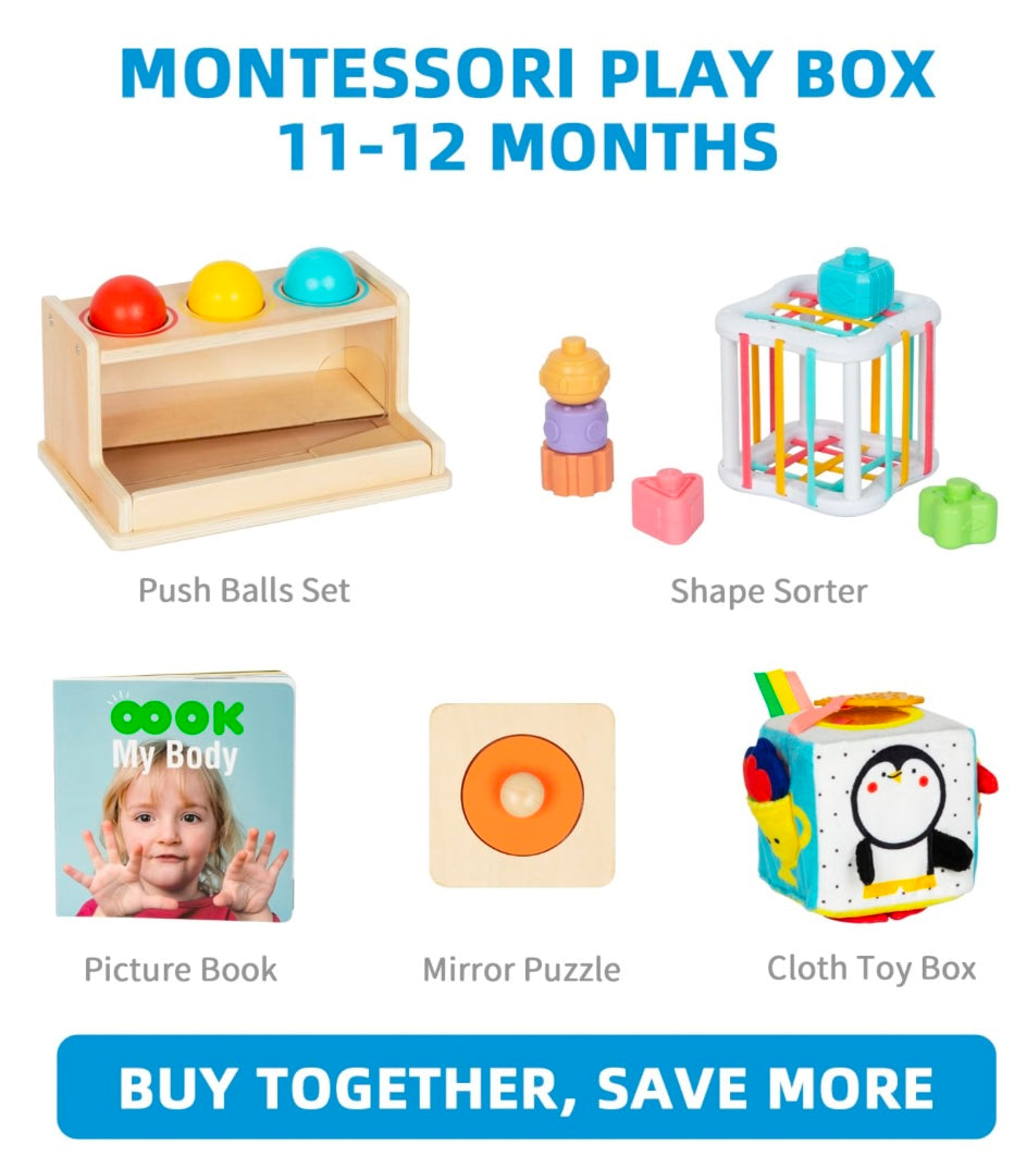 Montessori Play Kit for 11 to 12 Months Old