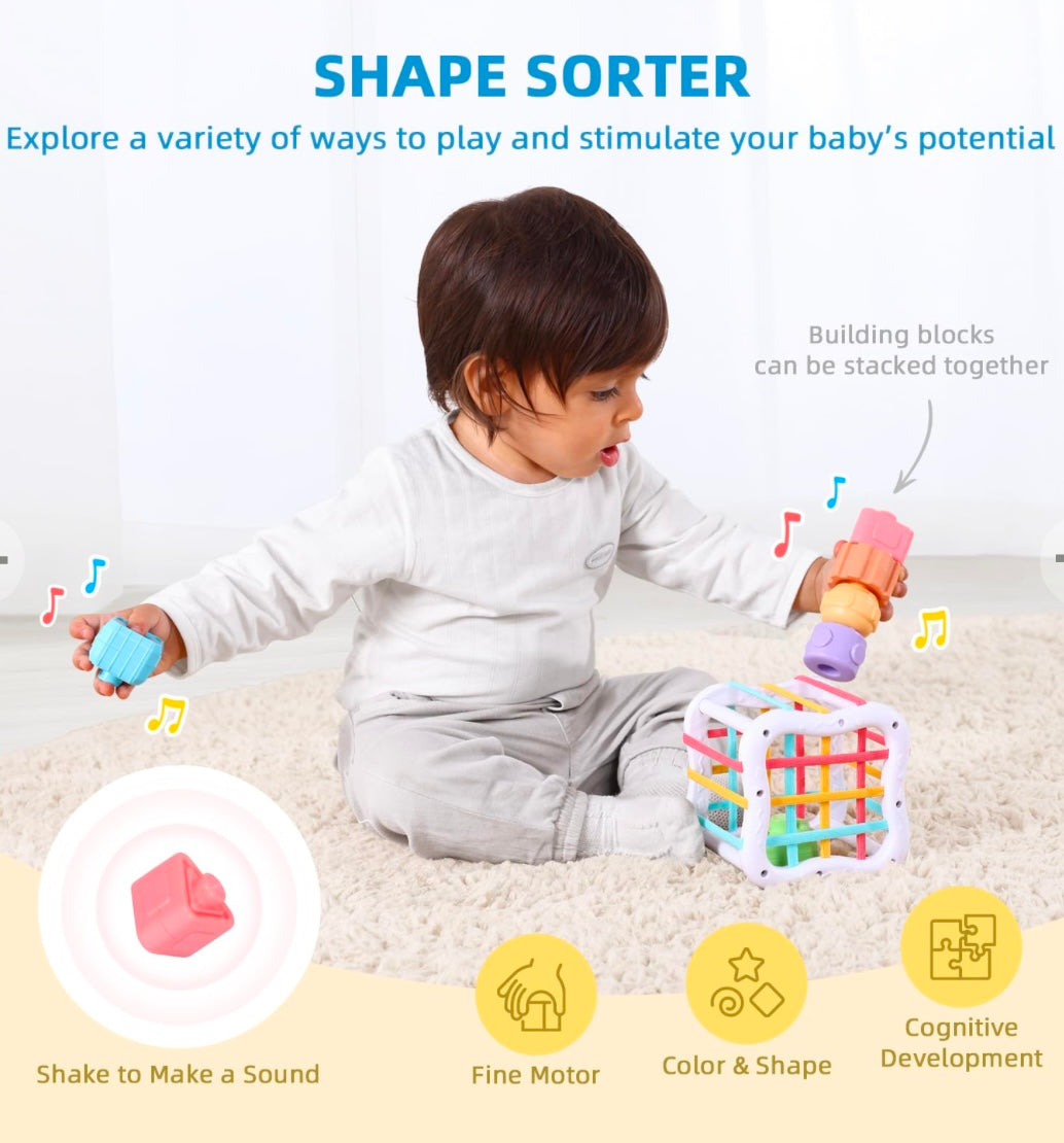 Montessori Play Kit for 11 to 12 Months Old