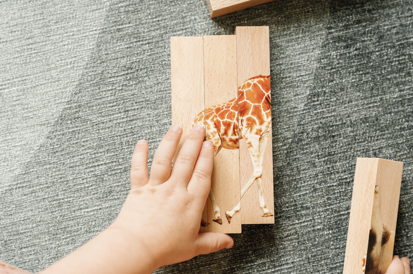 Montessori 4 in 1 Realistic Animal Block Puzzle