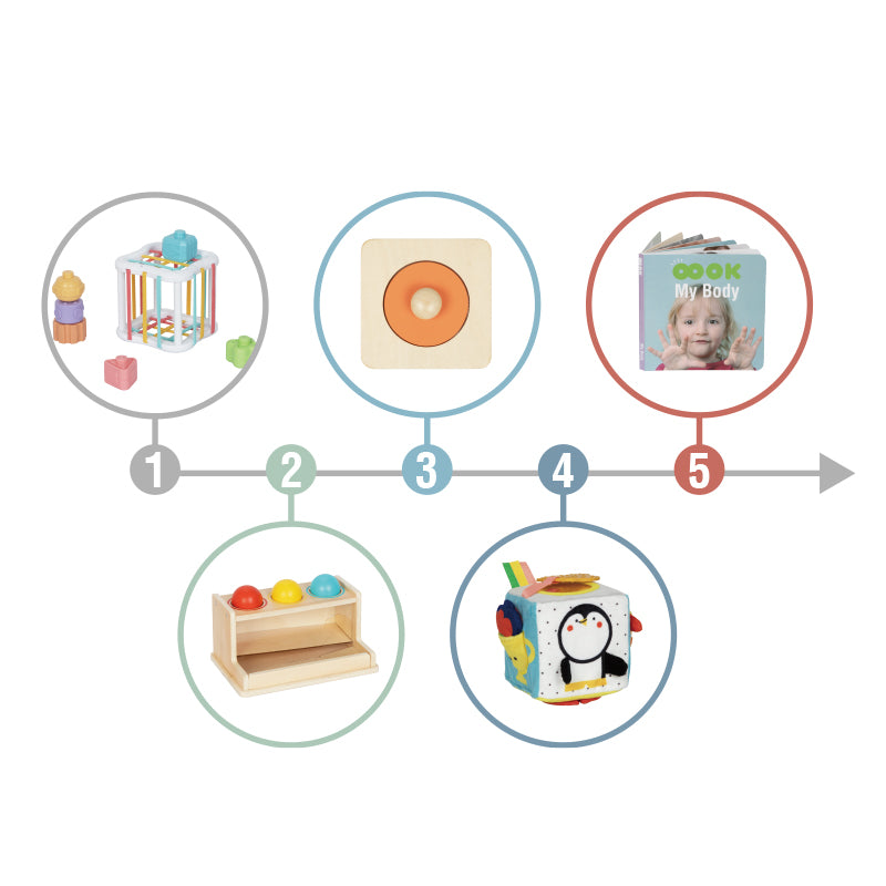 Montessori Play Kit for 11 to 12 Months Old