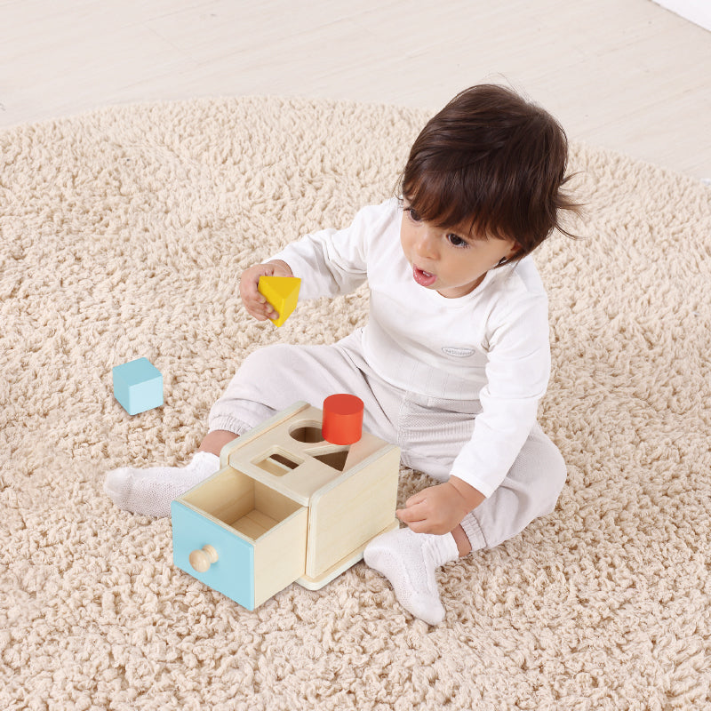 Montessori Play Kit for 13 to 15 Months Old