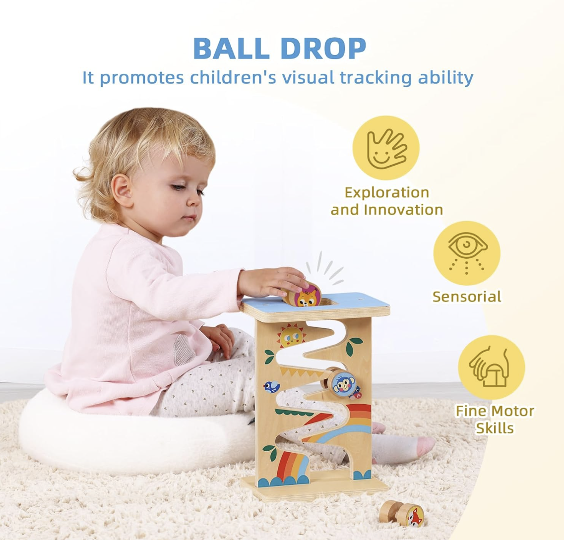 Montessori Play Kit for 13 to 15 Months Old