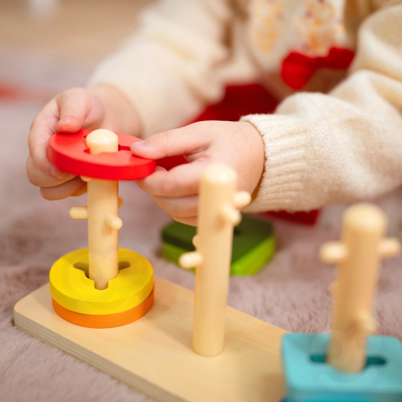 Montessori Play Kit for 25 to 30 Months Old