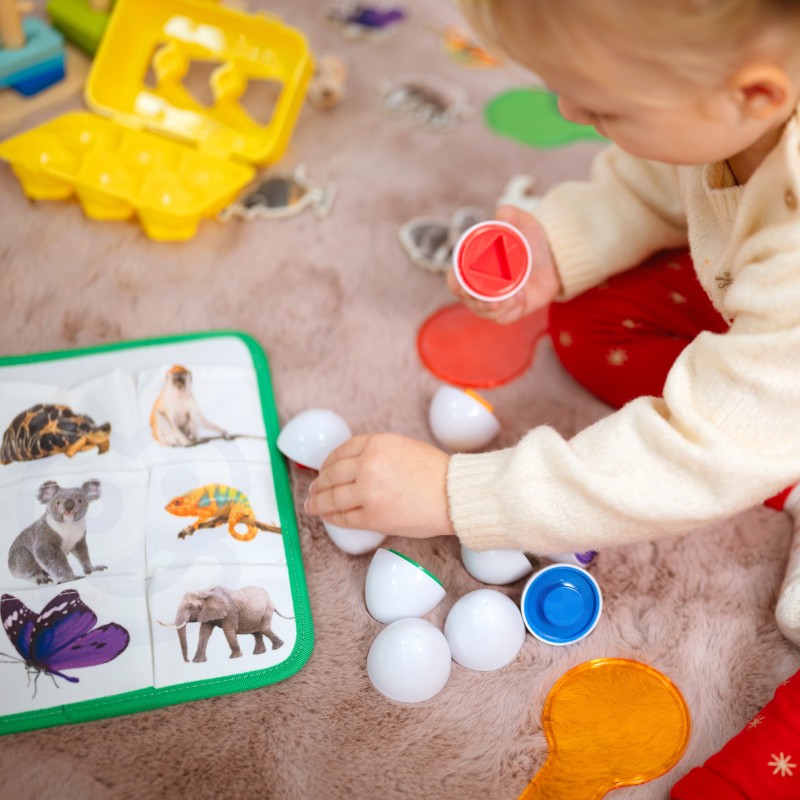 Montessori Play Kit for 25 to 30 Months Old