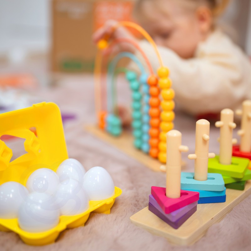 Montessori Play Kit for 25 to 30 Months Old