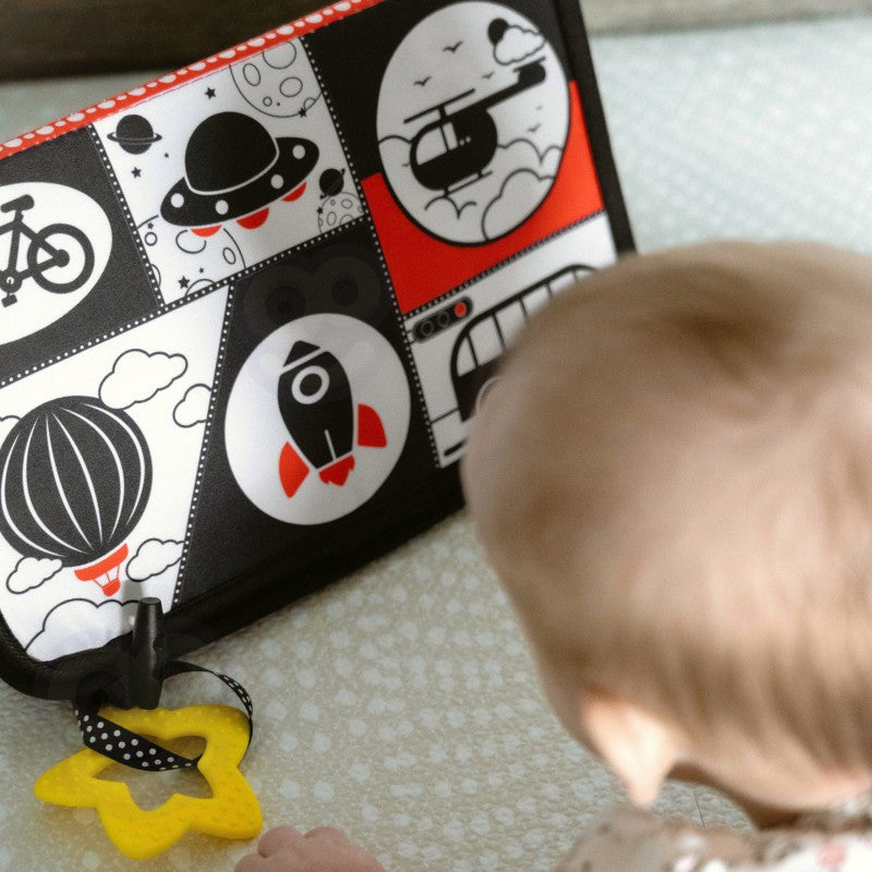 Montessori Play Kit for 3 to 4 Months Old