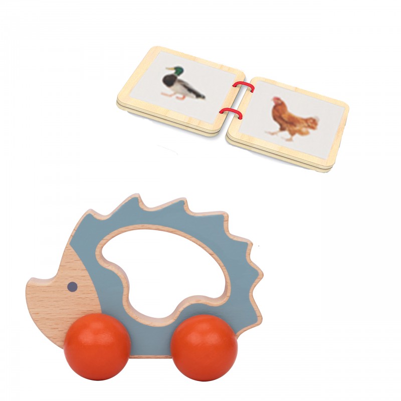 Montessori Play Kit for 7 to 8 Months Old