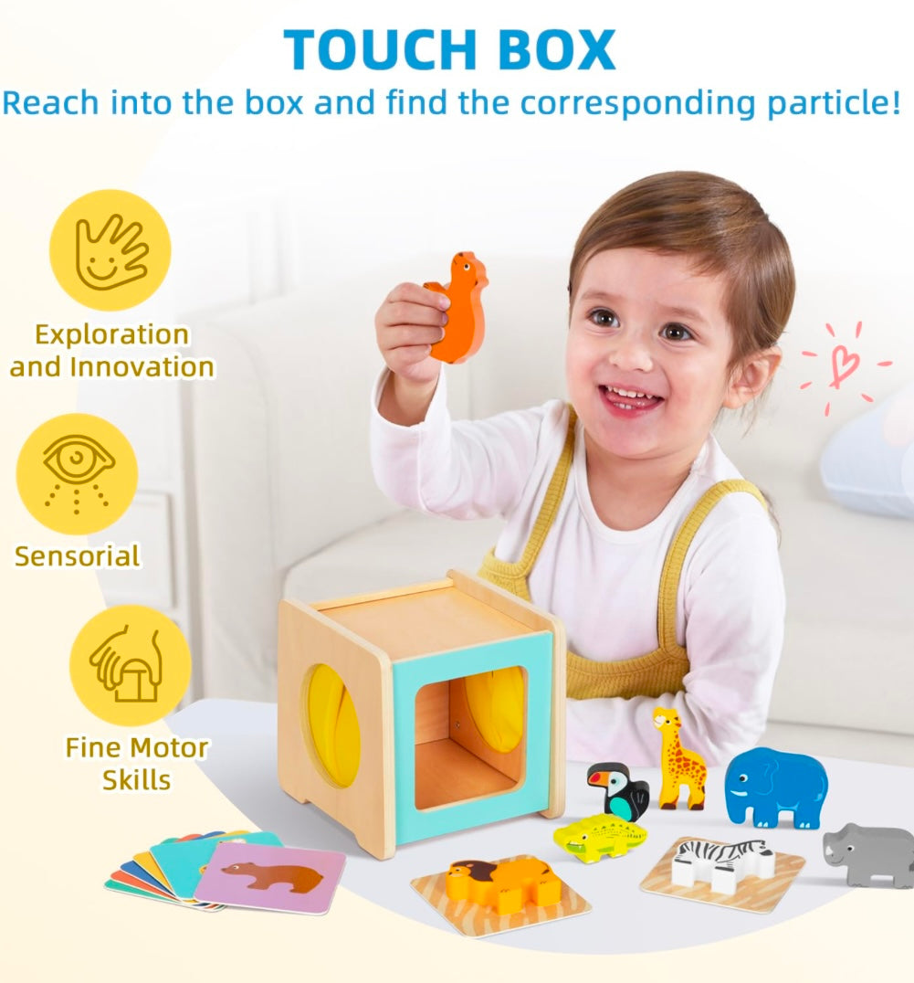 Montessori Play Kit for 31 to 36 Months Old