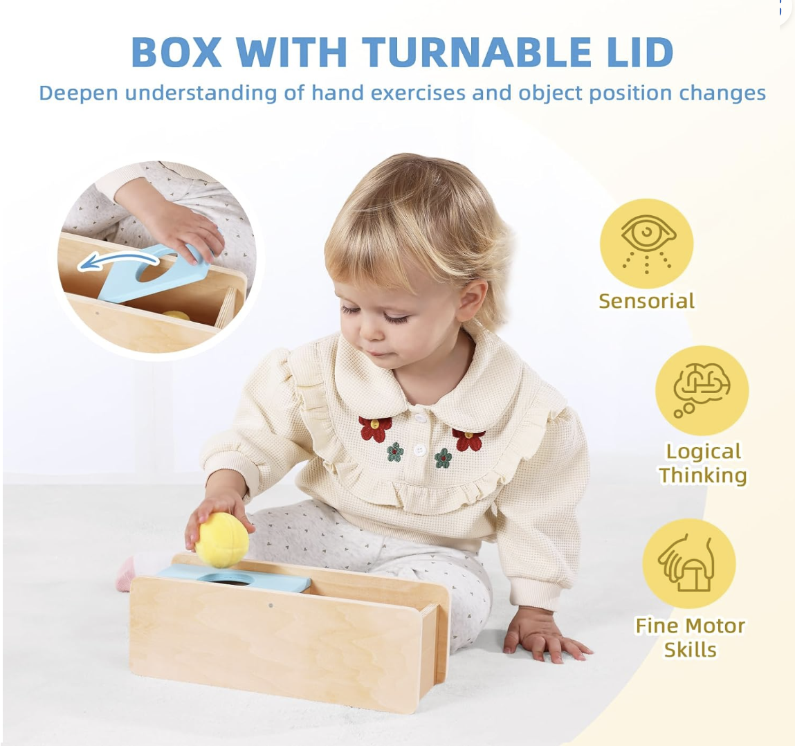 Montessori Play Kit for 9 to 10 Months Old