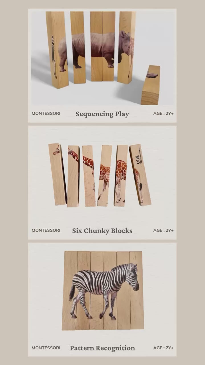 Montessori Animal Block Puzzle 4 in 1 Wooden Toy for Toddlers 1-3